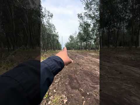 Tel:4706-3369 Residencial Entre Rios Cuyotenango Suchitepequez Guatemal Reserva tu terreno hoy 1,000