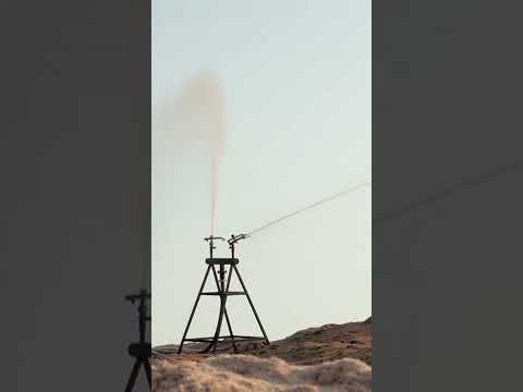 #甘蔗廢料是如何變成餐具的。#短褲#回收#廢物 (How #sugarcane waste is turned into tableware. #shorts #recycling #waste)