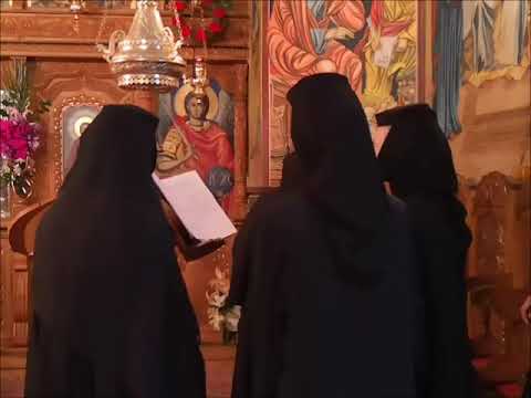 20190505 NICOLAE BALASOIU - DUMINICA A DOUA DUPA PASTI – A SF  APOSTOL TOMA