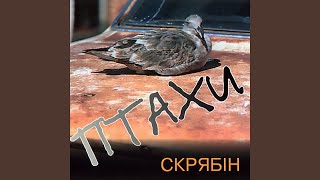 Птахи