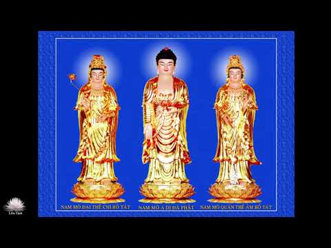 Cộng Tu Niệm Phật  - 7 giờ tối 11-2-2022, giờ California, tức 10 giờ sáng 12-2-2022, giờ Việt Nam