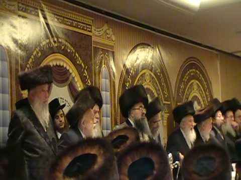 Skolya Rebbe Arayn Kimmen