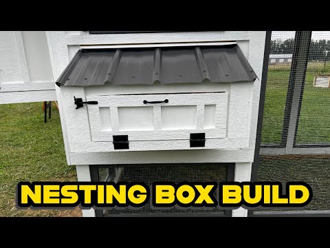How To Build An Egg Hutch (DIY Guide)