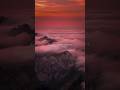 Pehle Bhi Main WhatsApp Status Love Status Animal Vishal Mishra Shorts Viral Trending