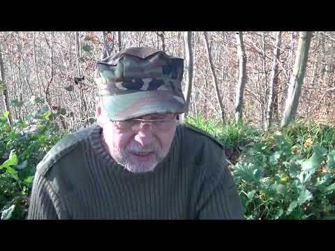 Rzepa - wróg firm farmaceutycznych