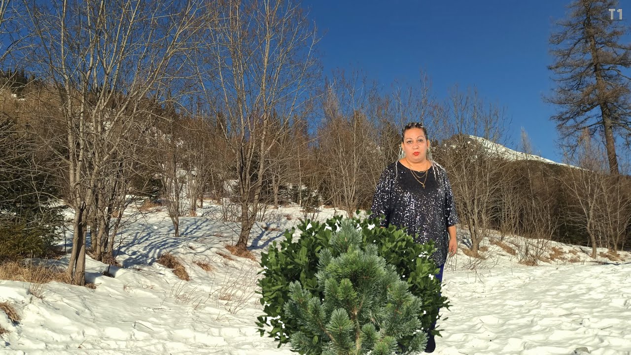 Gipsy Janka - Už sú tu Vianoce