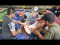 LIAT SAPI NGANGKANG BU LURAH MALU MALU