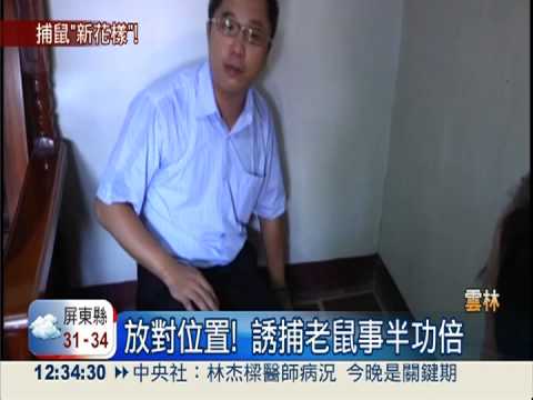 捕鼠防杜狂犬病 滅鼠達人教撇步