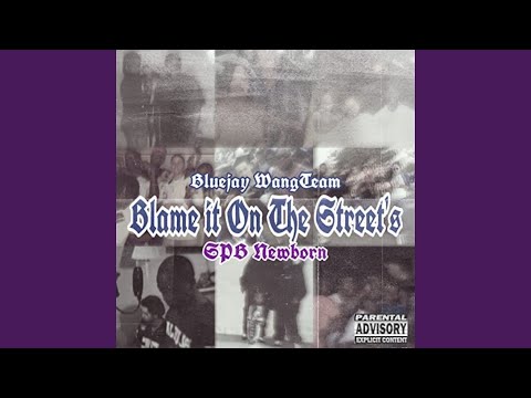 Blame It On The Streets (feat. Spb Newborn)