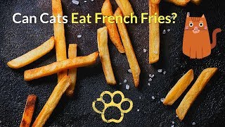 Can Cats Eat French Fries | Is This Fast Food Option Healthy