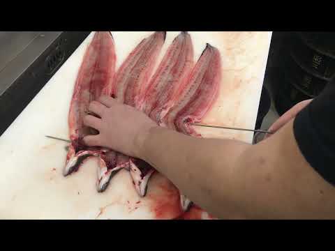 O peixe enguia de Taiwan é bom!O mestre do método de processamento de peixe enguia do japonês Mikawa Nakagawaya é uma vergonha. Espetar enguia é difícil. Técnica do mestre Nakagawa! Início às 1:39. 53 Lane 3, Seção 1, Zhongshan North Road, distrito de Zhongshan, cidade de Taipei
