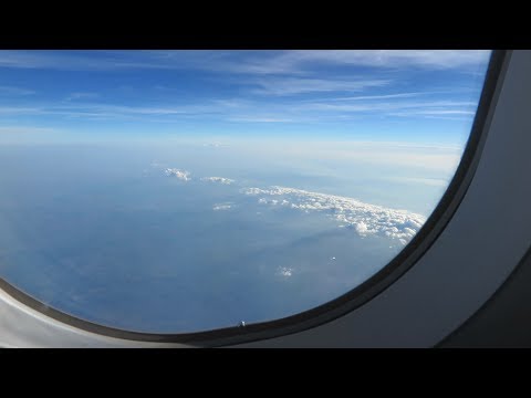 Crazy Accordion Trio feat. Szymon Rachwalski - Funky Perfect (song by Ed Sheeran)