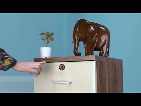 Yale Biometric Smart Premium Furniture Lock 