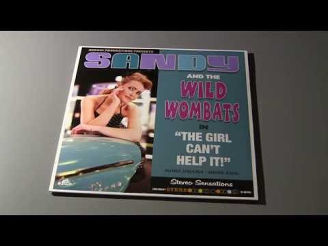 Sandy and The Wild Wombats - Electra Glide In Blue (vinyl)
