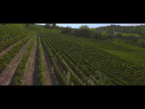 Ai Ciuvin Castiglione Tinella