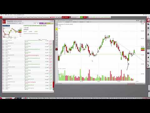 Das sind die heutigen Top Signale vom Trader Wingman!