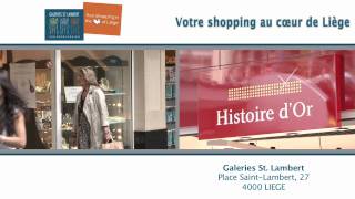 preview picture of video 'Galeries Saint Lambert.mov'