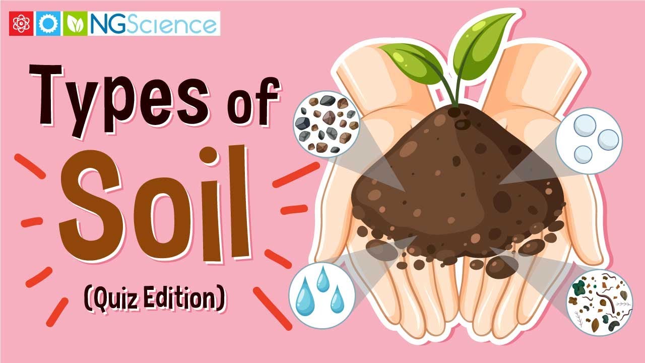 Types of Soil (Quiz Edition)