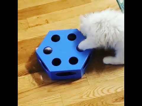 🐱Starcy Electronic Interactive Cat Toys - Automatic Rotating Teaser🐱