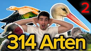 ALLE Vögel Deutschlands finden (Folge 2) | Birding Vince