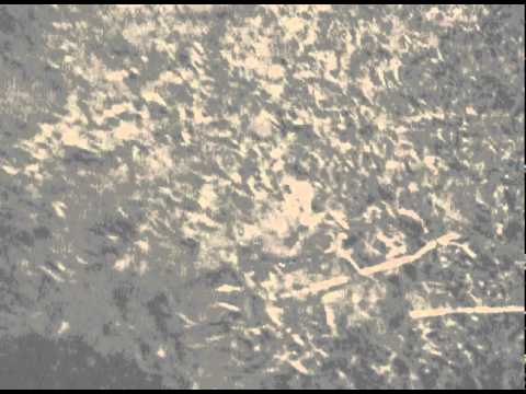 Disappearing worms trick