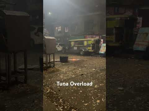 Tuna Overload by Chan Pyro