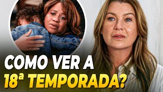 COMO ASSISTIR A 18ª TEMPORADA DE GREY'S ANATOMY EM PORTUGUÊS