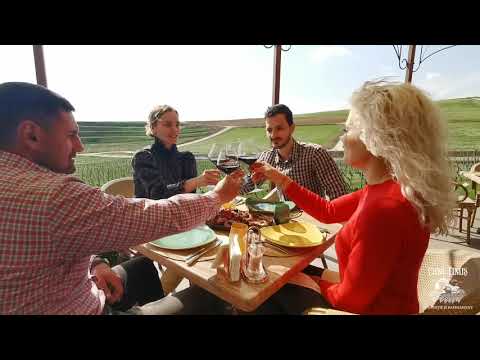 Casa Timiş a deschis NOUA Terasă dintre Vii!!!