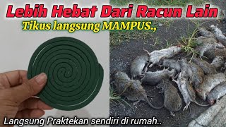 Download lagu Tikus langsung MAMPUS !! Buat racun tikus paling ampuh,Tikus di rumah dan tikus sawah langsung mati mp3