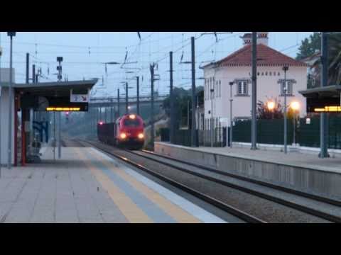 Comboio de Madeira n.º 65861 e IR 932 - Lamarosa