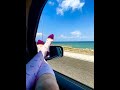 Vim Vigr Compression Socks
