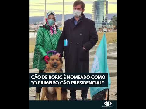 Vota Boric Presidente - Illapu