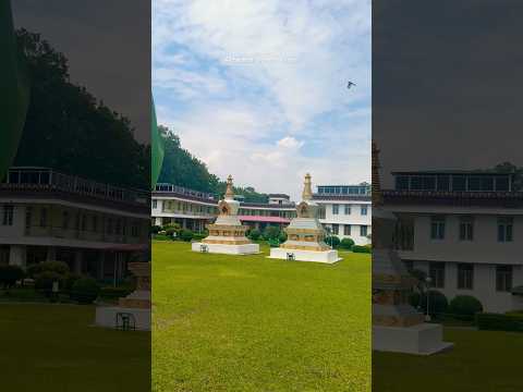 Mindrolling Monastery, known as the Tibetan Buddhist Temple, is a serene Buddhist center in Dehradun