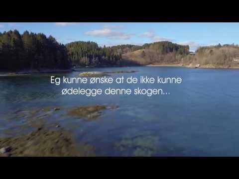 Dette er realiteten!