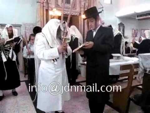 Sukkos 5772 In Deizh