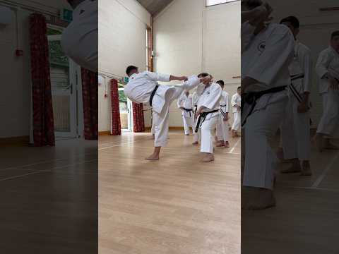 Alingual - Karate