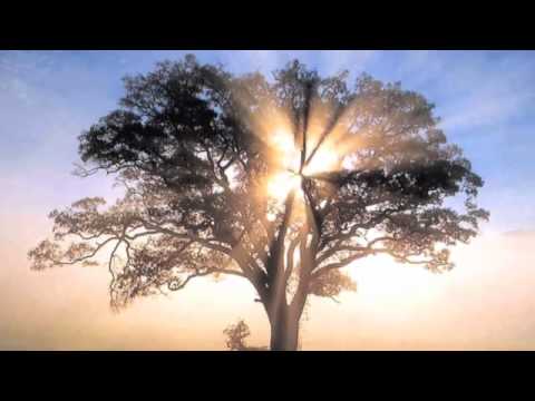 Solo Cristo/None But Jesus