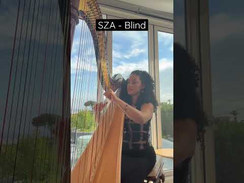 SZA - Blind for solo harp :) had fun arranging this trip one. What is your favorite track off SOS?