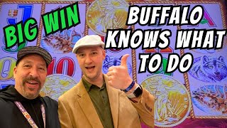 Big Win On Max Bet Buffalo Gold Knows What To Do #2023 #4k