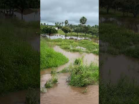 CHEIA NO RIO EM PACUJÁ CEARÁ #enchente  #nordeste  #riocheio