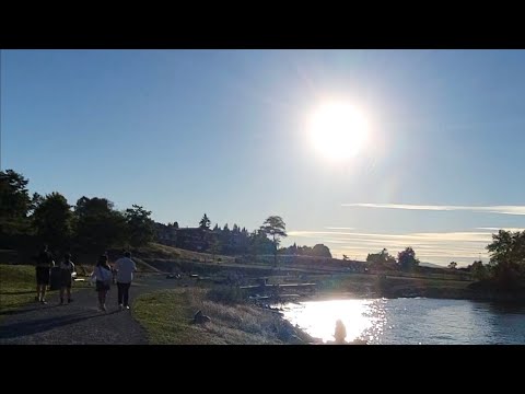 Brighton Park Wiki