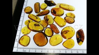  Křídový jantar SJ-72