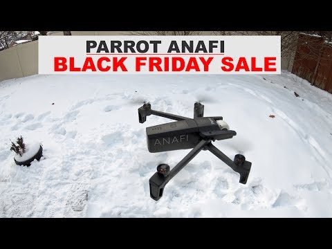 download lagu mp3 mp4 Black Friday Parrot, download lagu Black Friday Parrot gratis, unduh video klip Black Friday Parrot