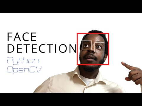 Opencv Python Face And Eye Detection Python Tutorials For Beginners Code 2