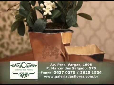 Programa Neusa Bighetti exibido no dia 19/05/2013 - Galeria das Flores