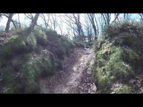 Hiking through National Park the Veluwe, the Netherlands