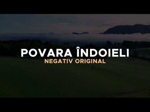 Beny din Bărbulești NEGATIV ORIGINAL-POVARA INDOIELII