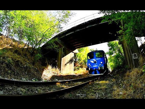 Fast trains in romanian jungle