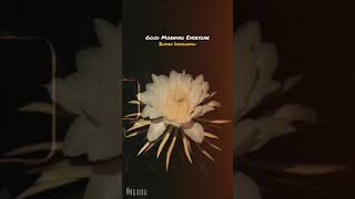 Download lagu Good Morning Everyone - Bukan Denganmu mp3