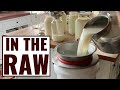 Processing Milk From 2 Cows